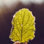 Environmental Questions Eduhyme