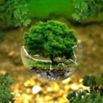 environment questions eduhyme