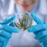Biology Science Multiple Choice Questions Part 1 Eduhyme