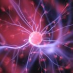 Cell and Molecular Biology Definitions Terms Eduhyme