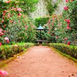 Parks Public Gardens IELTS Speaking Questions Answers Eduhyme