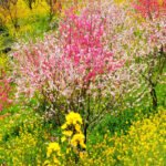 Seasons IELTS Speaking Questions Eduhyme