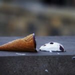 Mistaken Identity TOEIC Questions Answers Eduhyme