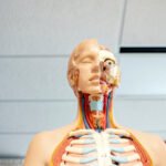 Human Physiology Eduhyme