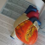 Human Physiology Eduhyme