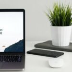 Writing Essays Useful Expressions Eduhyme