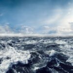 In the Sea Ocean Eduhyme