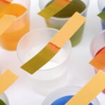 Litmus Paper Eduhyme