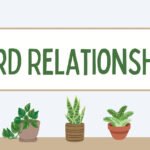 Word Relationships